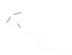 flight